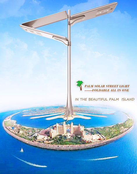 Buy-Palm-Solar-Streetlight-All-In-One-Design-online-now--sold-by-TheSolPatch