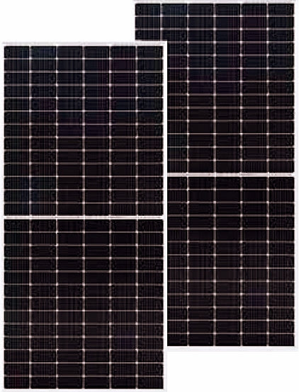 590W-Mono-Perc-156-cell-half-cut-panels-by-FutureSolar-order-online-now--by-thesolpatch