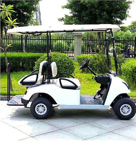 DG-C2_2-seater-electric-golf-cart--in-white-sideview-buy-online-at-thesolpatch-com
