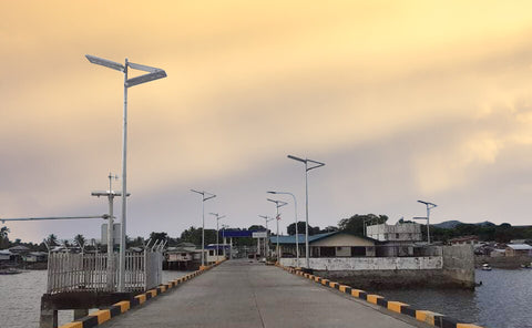 Palm-Solar-Streetlight-All-In-One-Design-that-folds-and-elevates-to-capture-solar-energy-sold-by-TheSolPatch
