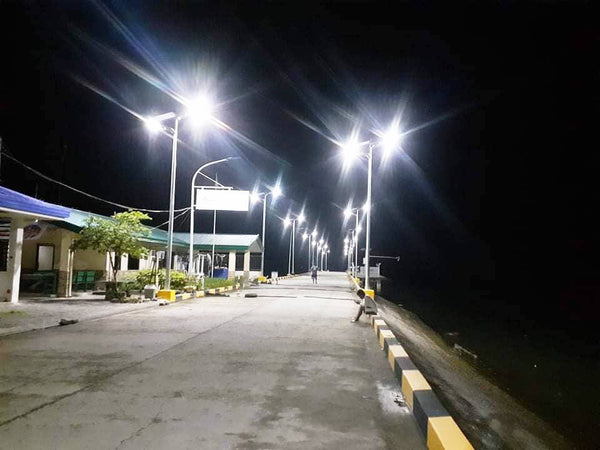 Palm-Solar-Streetlight-All-In-One-installation-night-view-from-opposite-direction-sold-by-TheSolPatch
